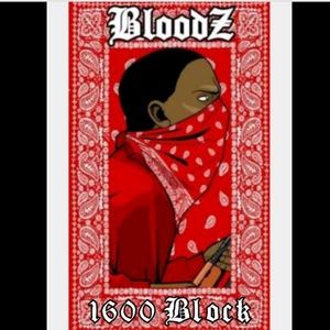 Meet your Posher, Diego